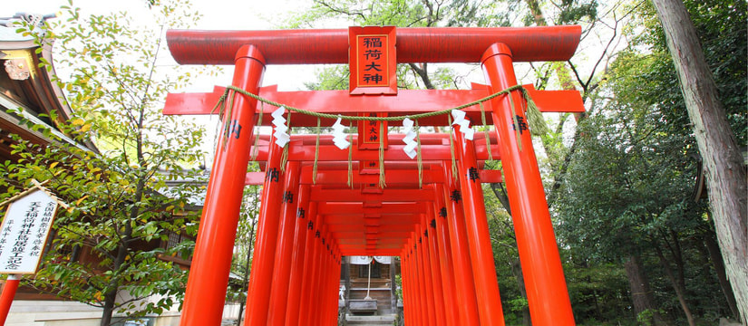 20130420_018.jpg